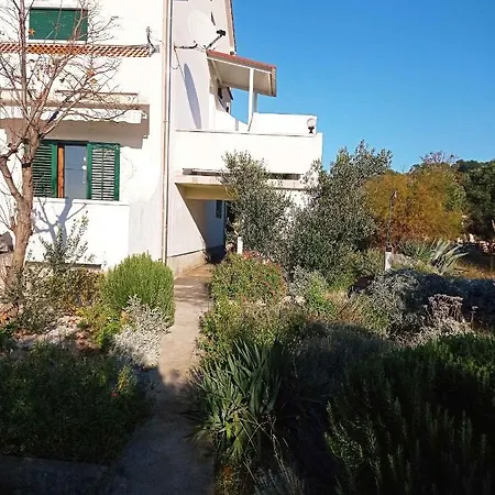 Apartment Barbat 22